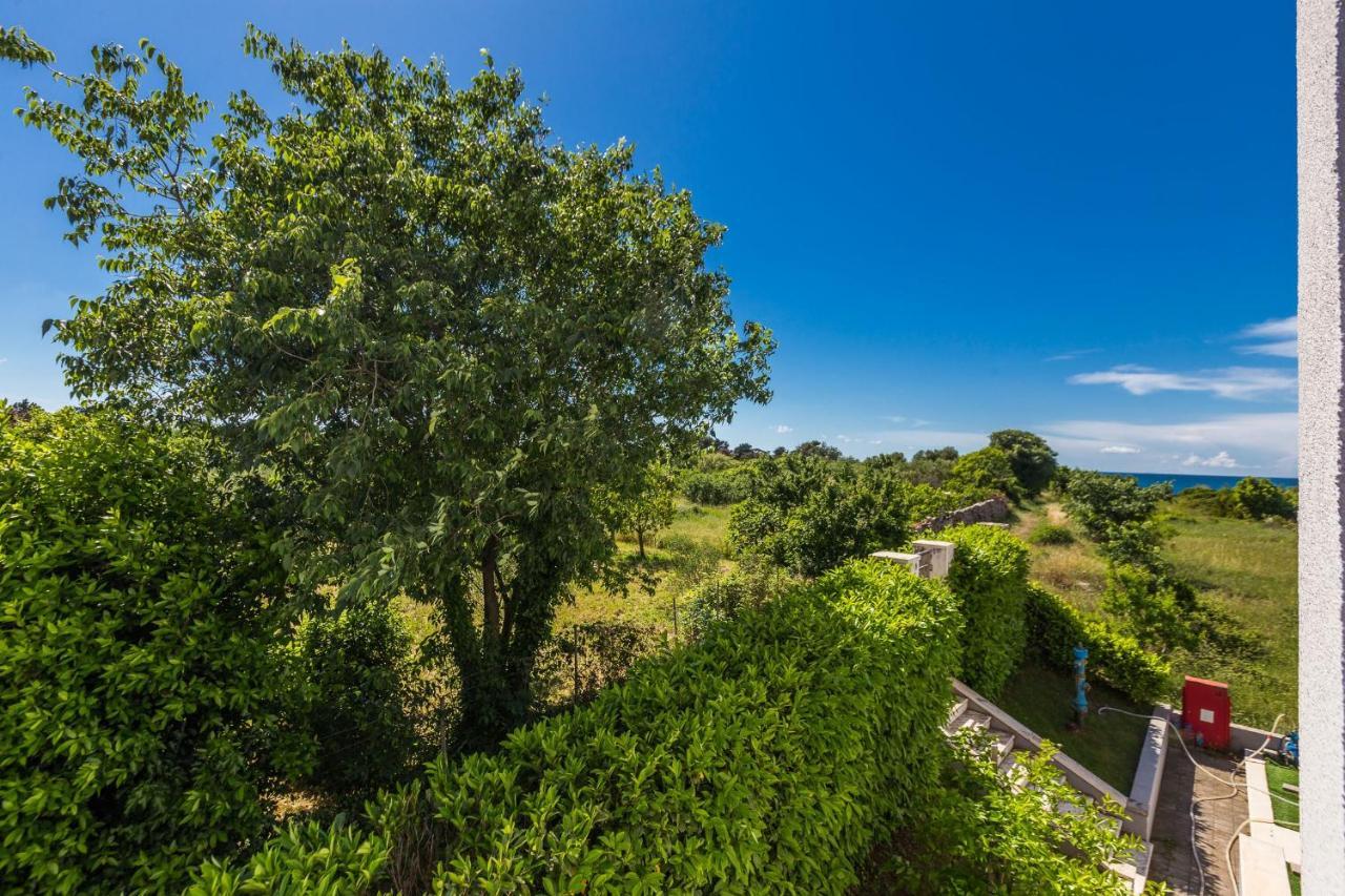 Adriano 2Br Apartment With Terrace Zadar Eksteriør billede